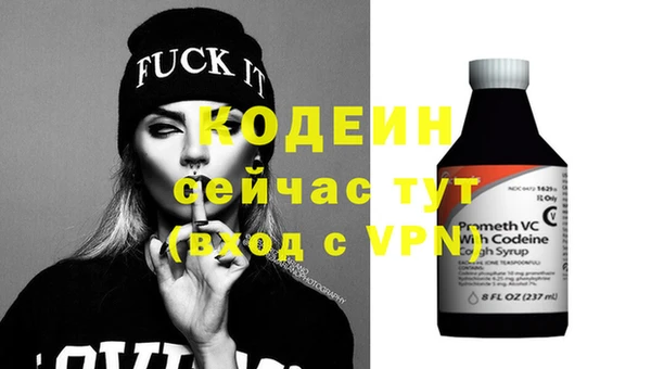 дмт Лабытнанги