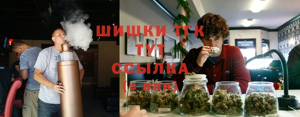 PSILOCYBIN Кукмор