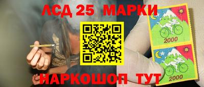 a pvp Заводоуковск