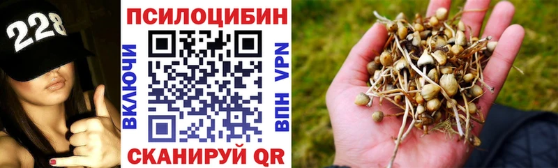 Псилоцибиновые грибы мицелий  даркнет Telegram  Новочебоксарск 