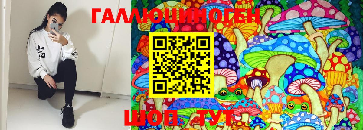 Галлюциногенные грибы прущие грибы Новочебоксарск