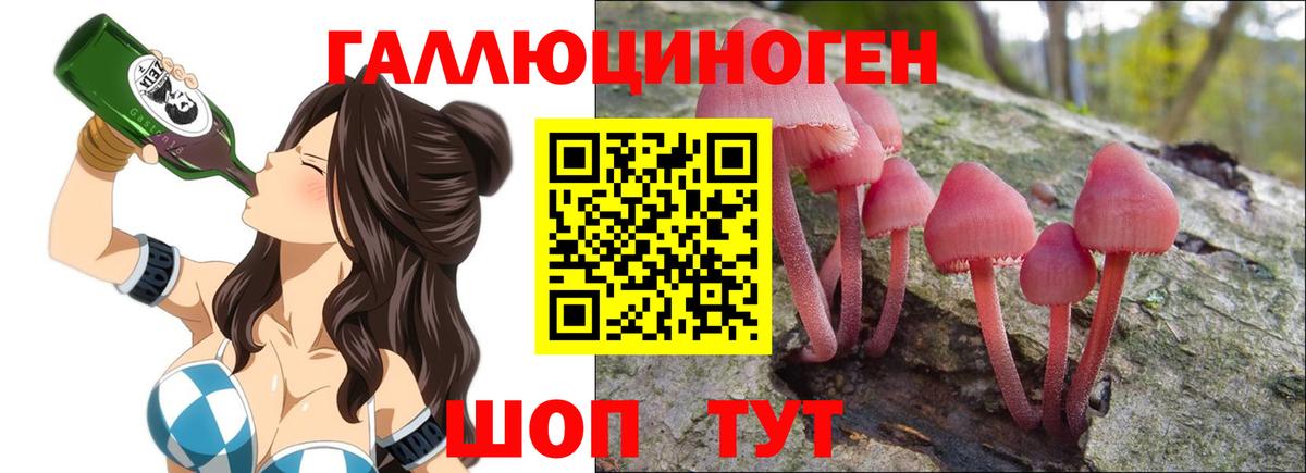 Галлюциногенные грибы Psilocybine cubensis  Галлюциногенные грибы мицелий  Новочебоксарск 