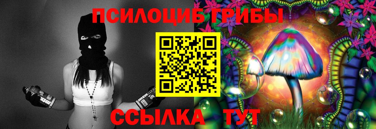 Новочебоксарск  Псилоцибиновые грибы GOLDEN TEACHER  Вход с VPN  Галлюциногенные грибы Cubensis 
